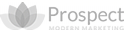 Video Format