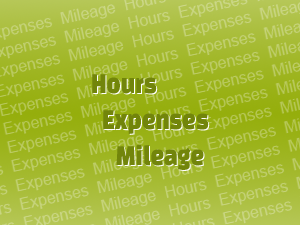 When entering my hours, how do I make multiple entries at once?